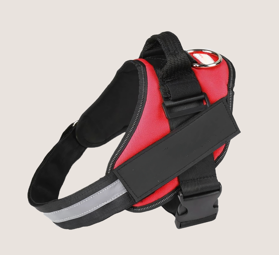 Personalised No Pull Dog Harness