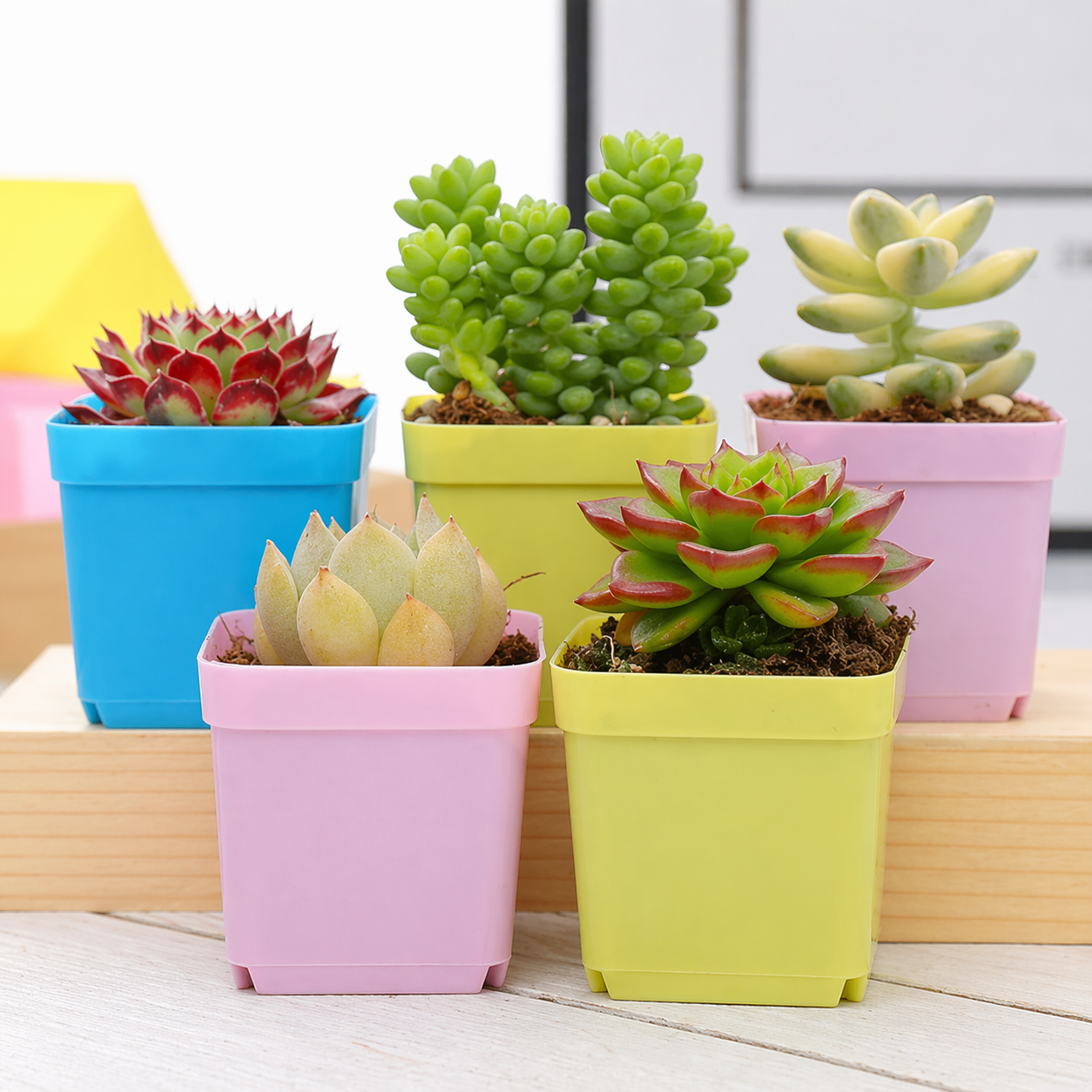 Mini Square Plant Pots With Trays 20 Piece Set For Succulents And Herbs