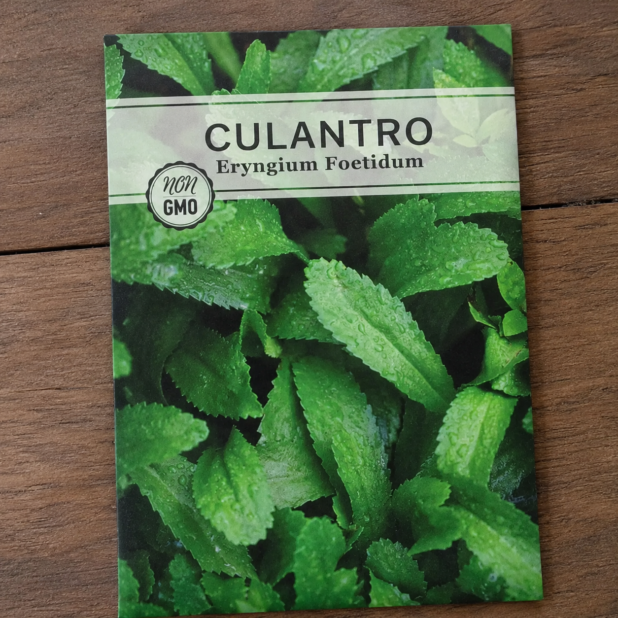 500 Pieces Culantro Seeds For Home Garden