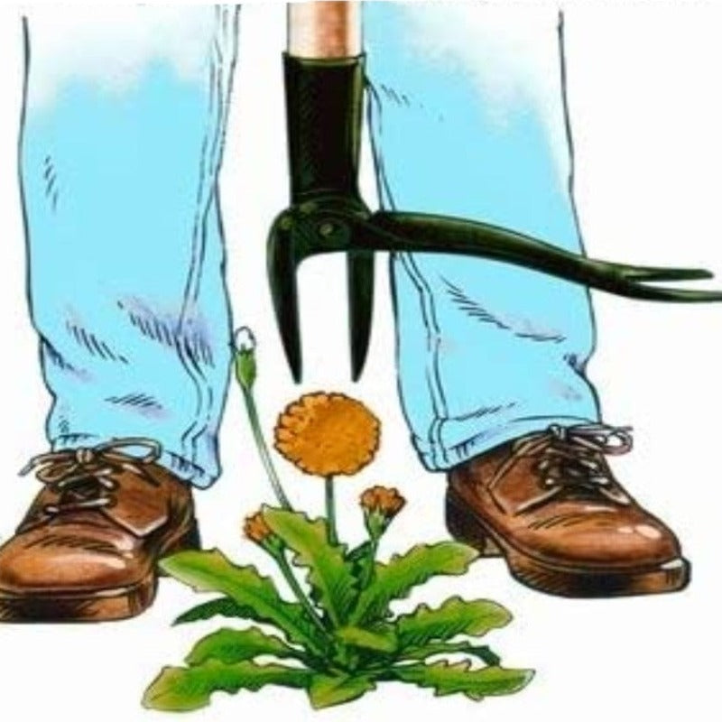 Stand Up Puller Tool With Long Handle - Made With Real Bamboo & 4-Claw Steel Head Design - Easily Remove Without Bending, Pulling, Or Kneeling - Grafton Collection