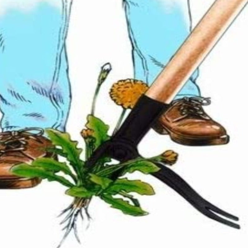 Stand Up Puller Tool With Long Handle - Made With Real Bamboo & 4-Claw Steel Head Design - Easily Remove Without Bending, Pulling, Or Kneeling - Grafton Collection