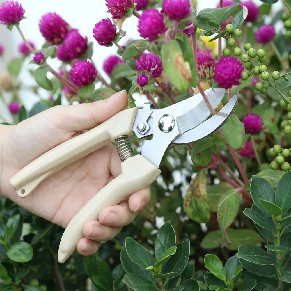 2 Piece Stainless Steel Pruning Shears With Sharp Blades For Garden And Plants