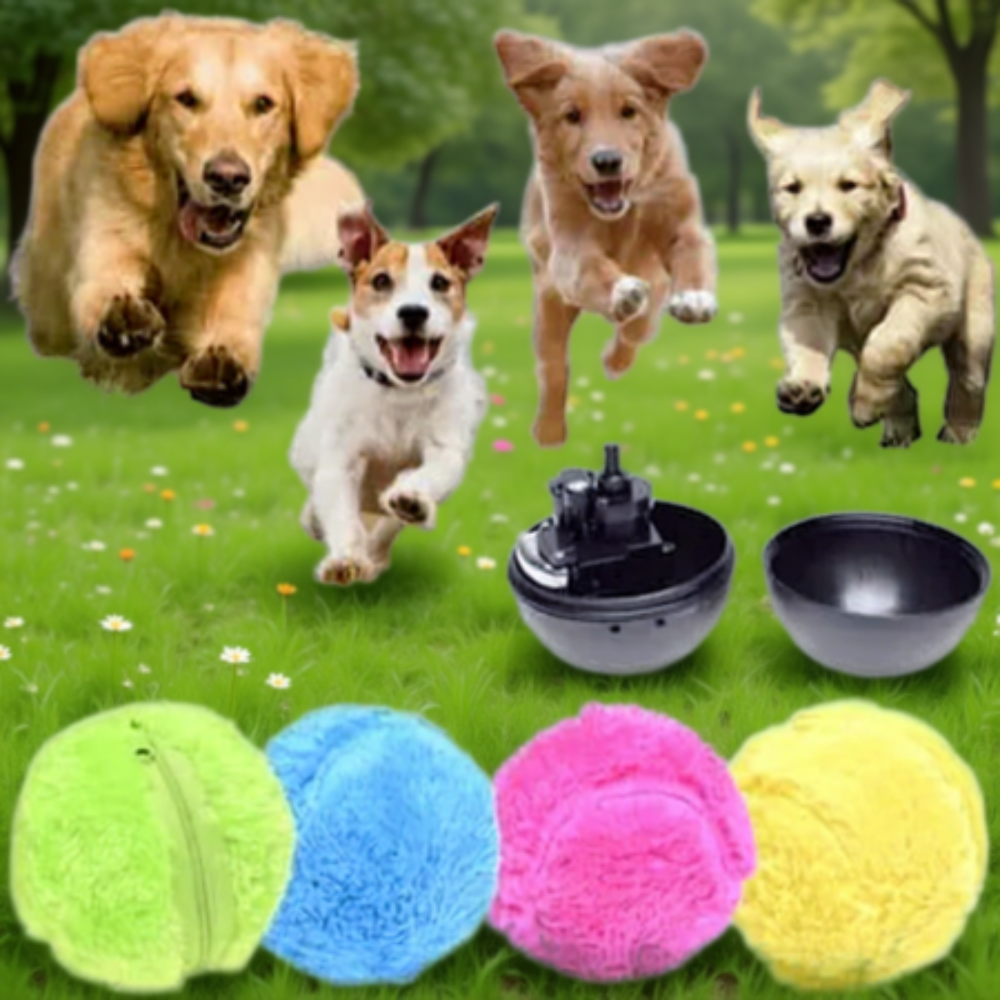 Active Rolling Ball Set