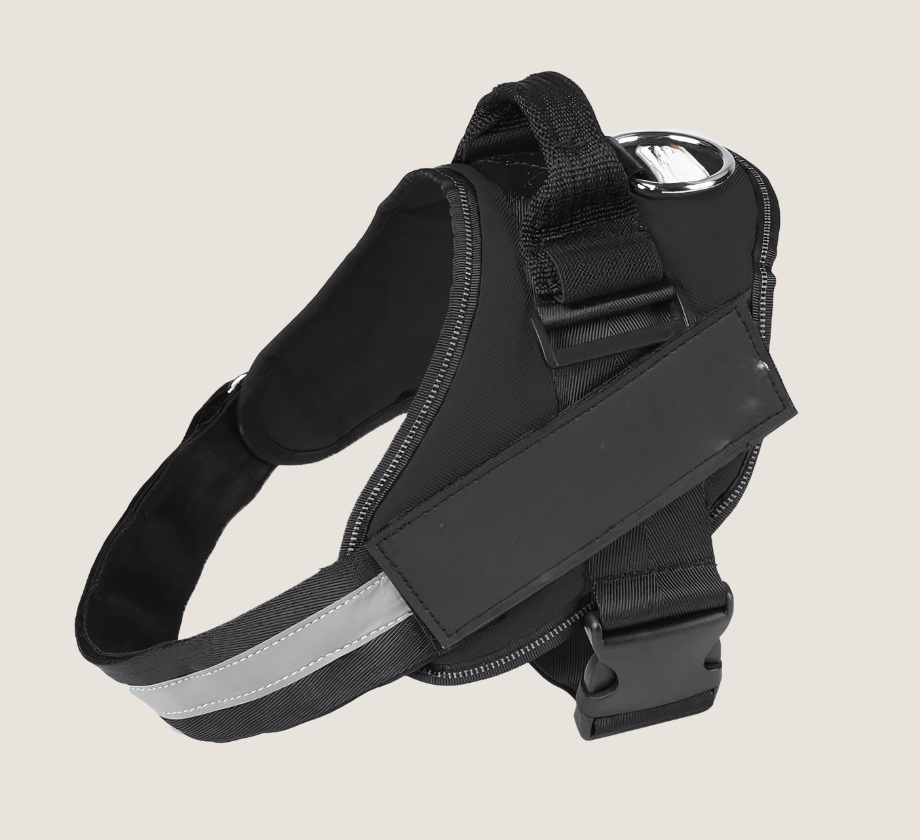 Personalised No Pull Dog Harness