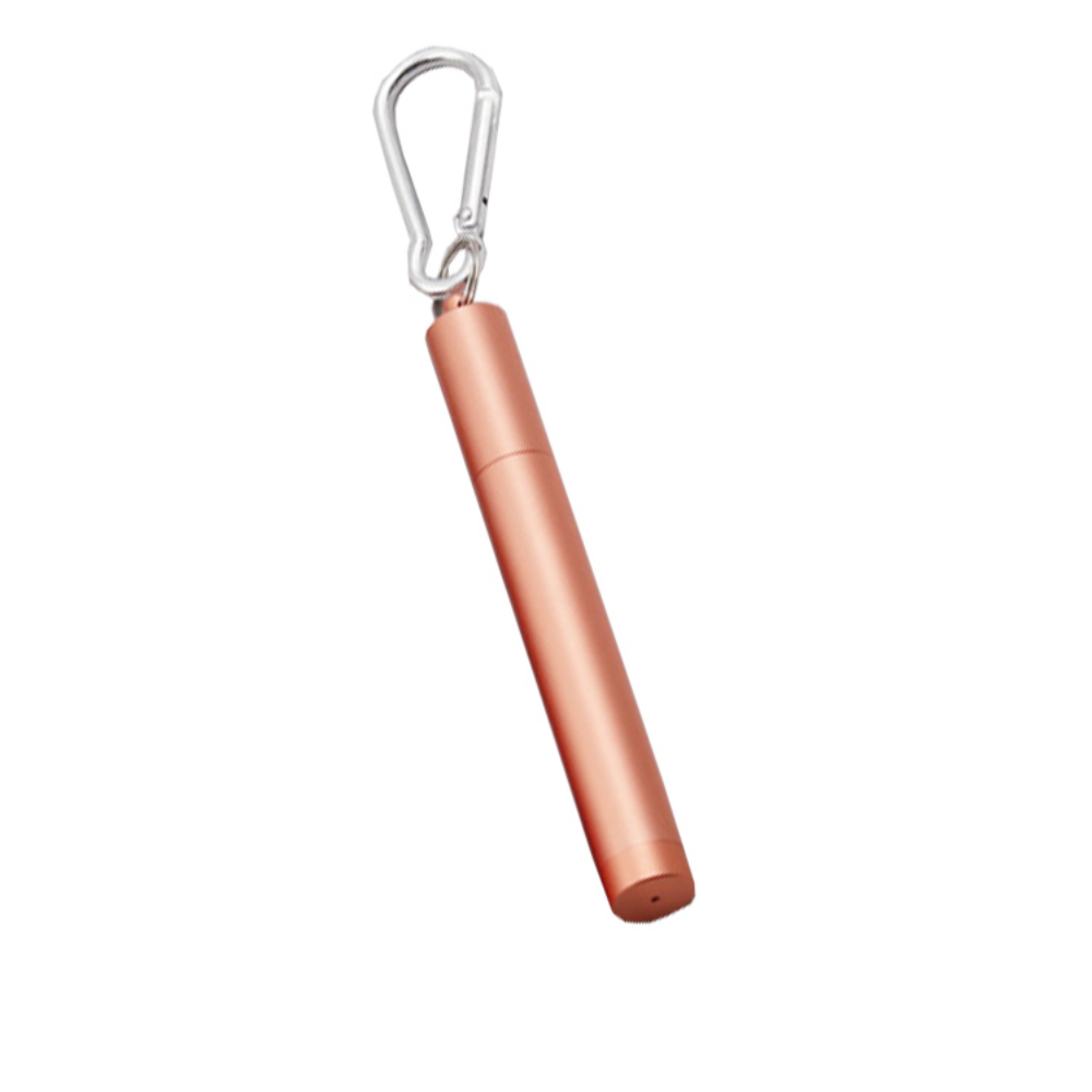 Foldable Stainless Steel Straws + Case - Grafton Collection