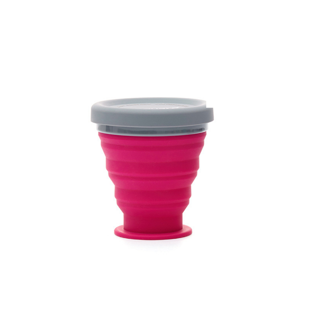 Foldable Bowls - Grafton Collection