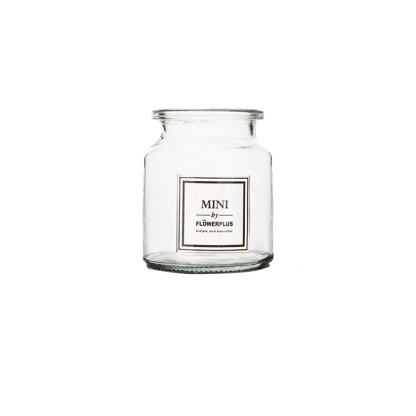 Candle Glass Vases - Grafton Collection
