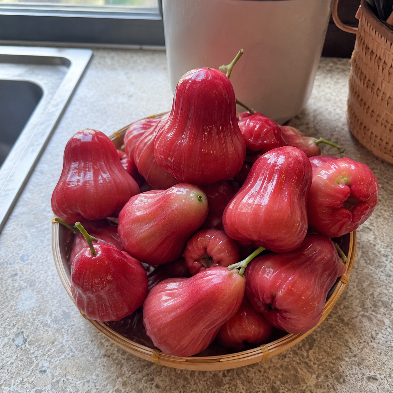 50 Pieces Rose Apple Garden Fruit Seeds