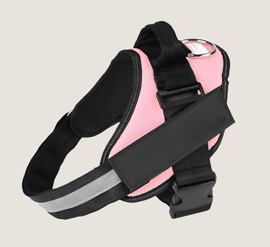 Personalised No Pull Dog Harness