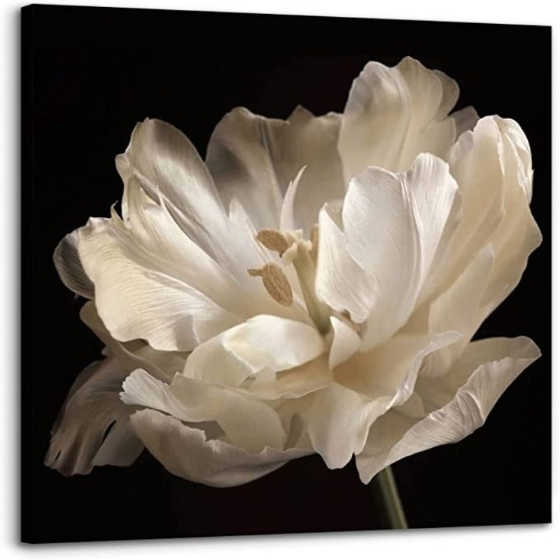 Wall Decor Fashion Canvas Pictures Bathroom Wall Art for Bedroom Living Room Wall Decor Painting Picture Artwork Wood Framed Wall Decor Easy to Hang - Grafton Collection