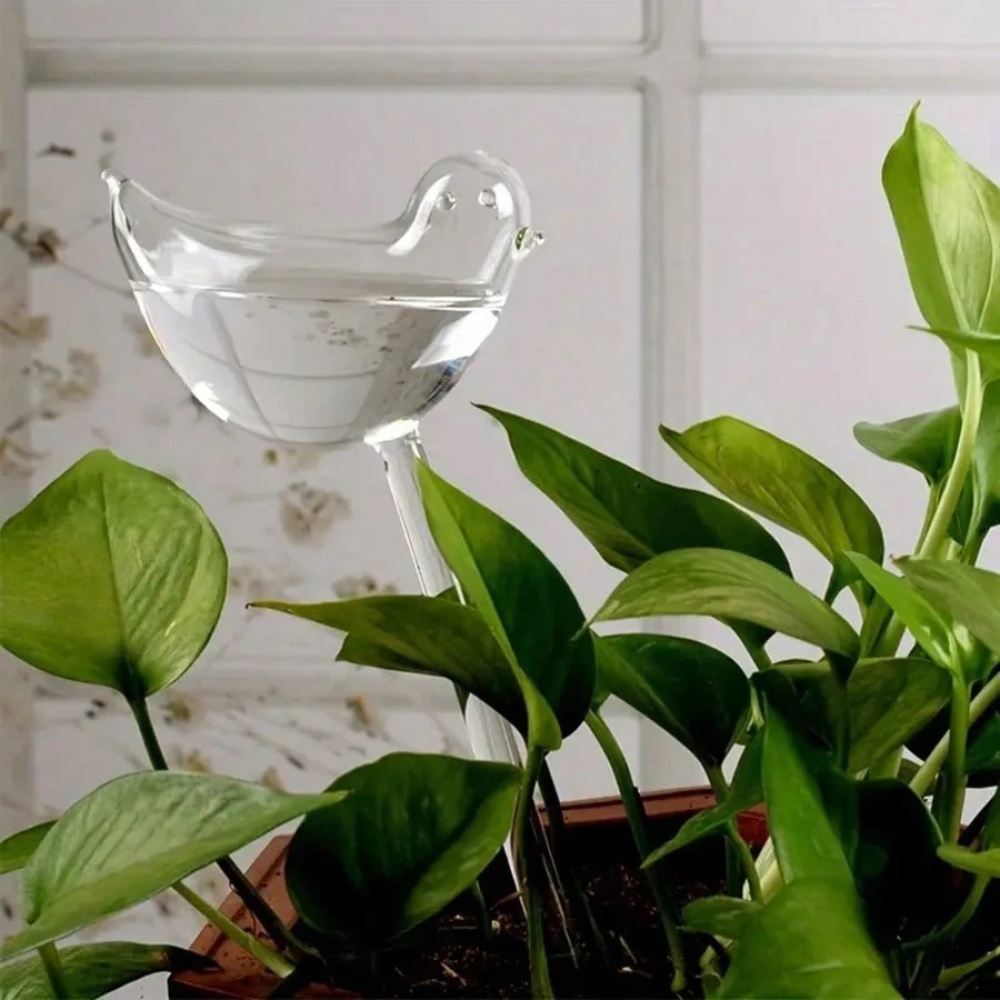 Bird Shaped Self Watering Globes For Potted Plants And Gardens