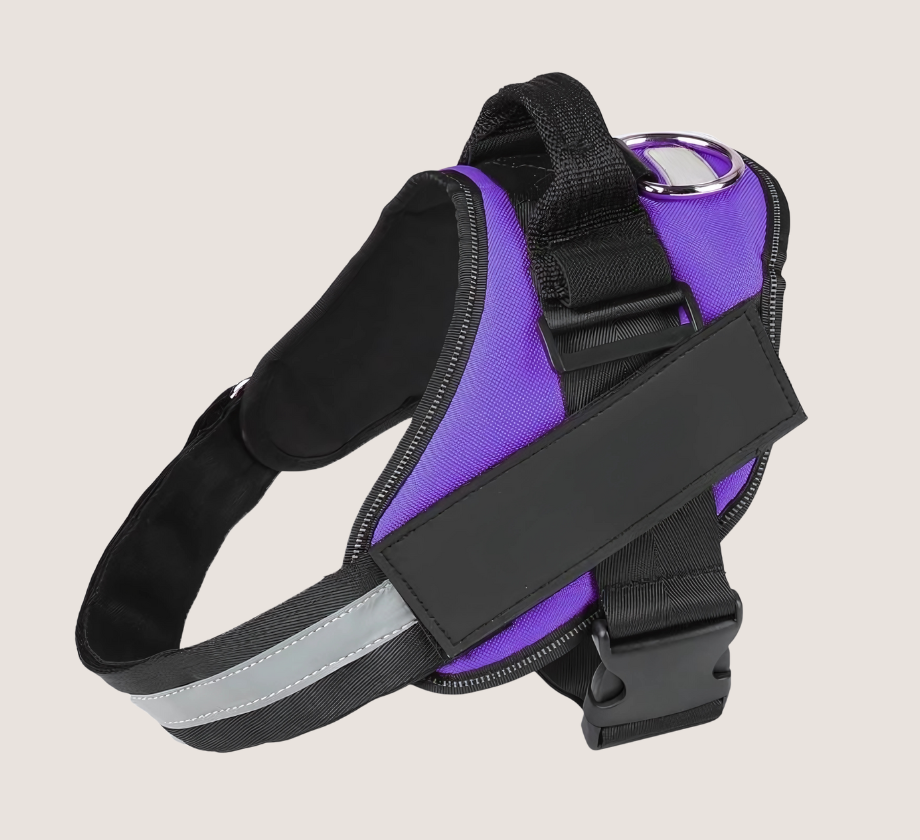 Personalised No Pull Dog Harness