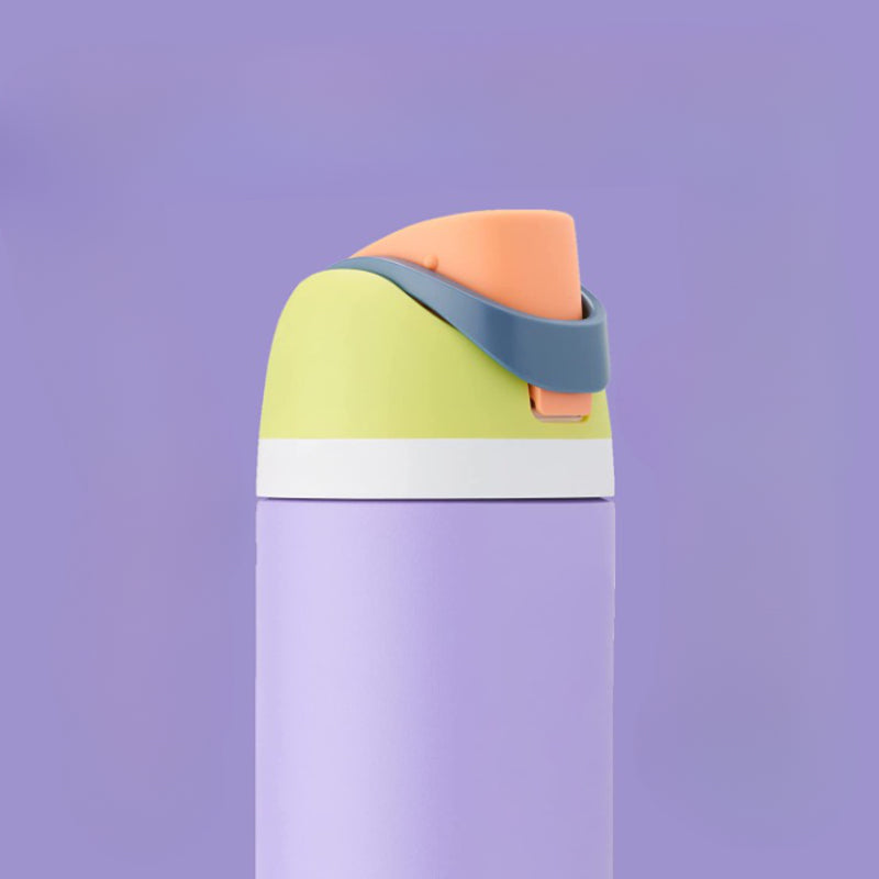 Insulated Stainless Steel Water Bottle With Straw For Sports And Travel, BPA-Free - Grafton Collection