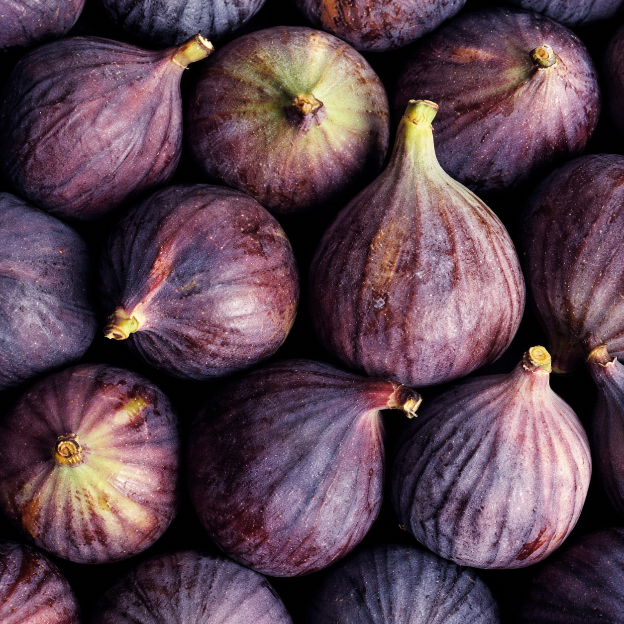 50 Pieces Sweet Fig Fruit Seeds For Planting 