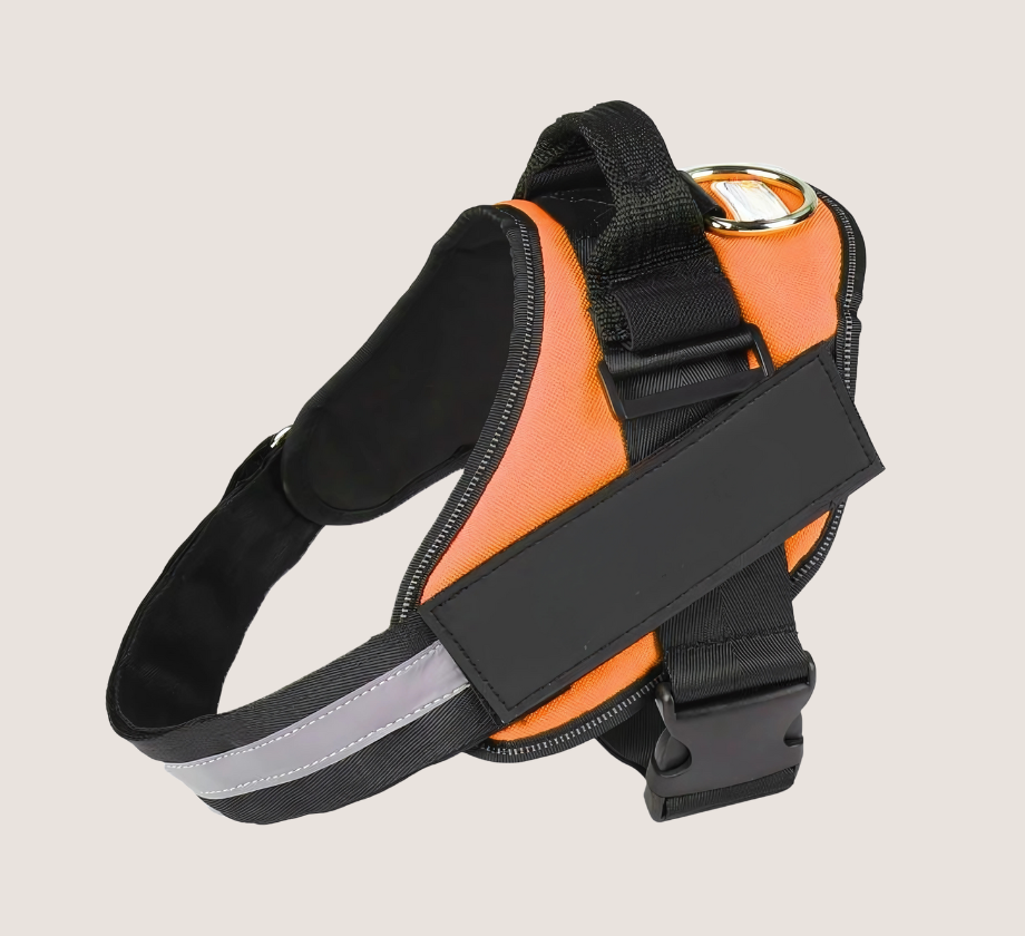 Personalised No Pull Dog Harness