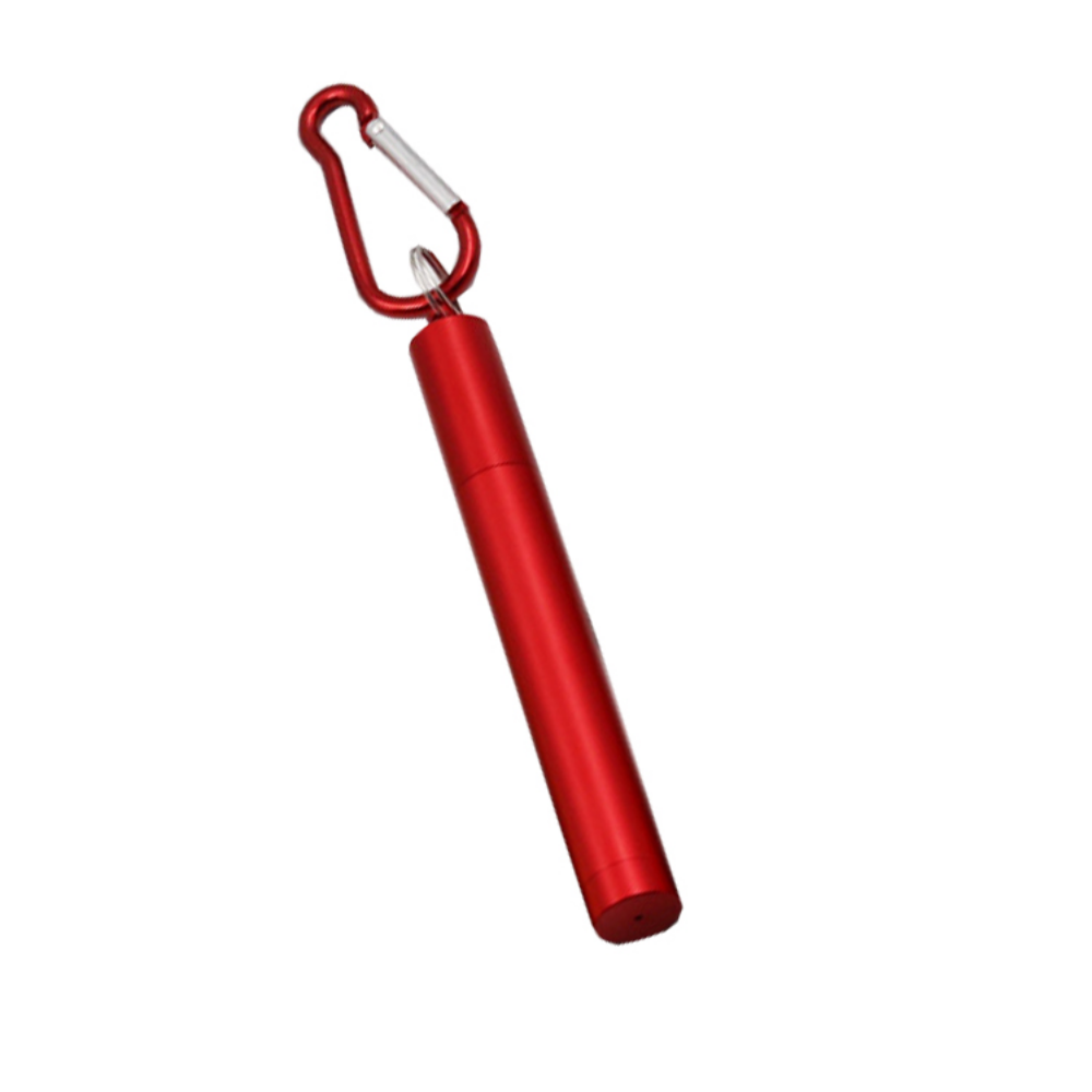 Foldable Stainless Steel Straws + Case - Grafton Collection