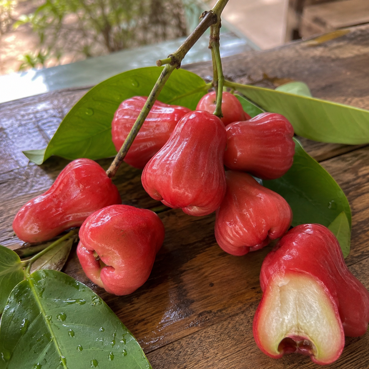 50 Pieces Rose Apple Garden Fruit Seeds