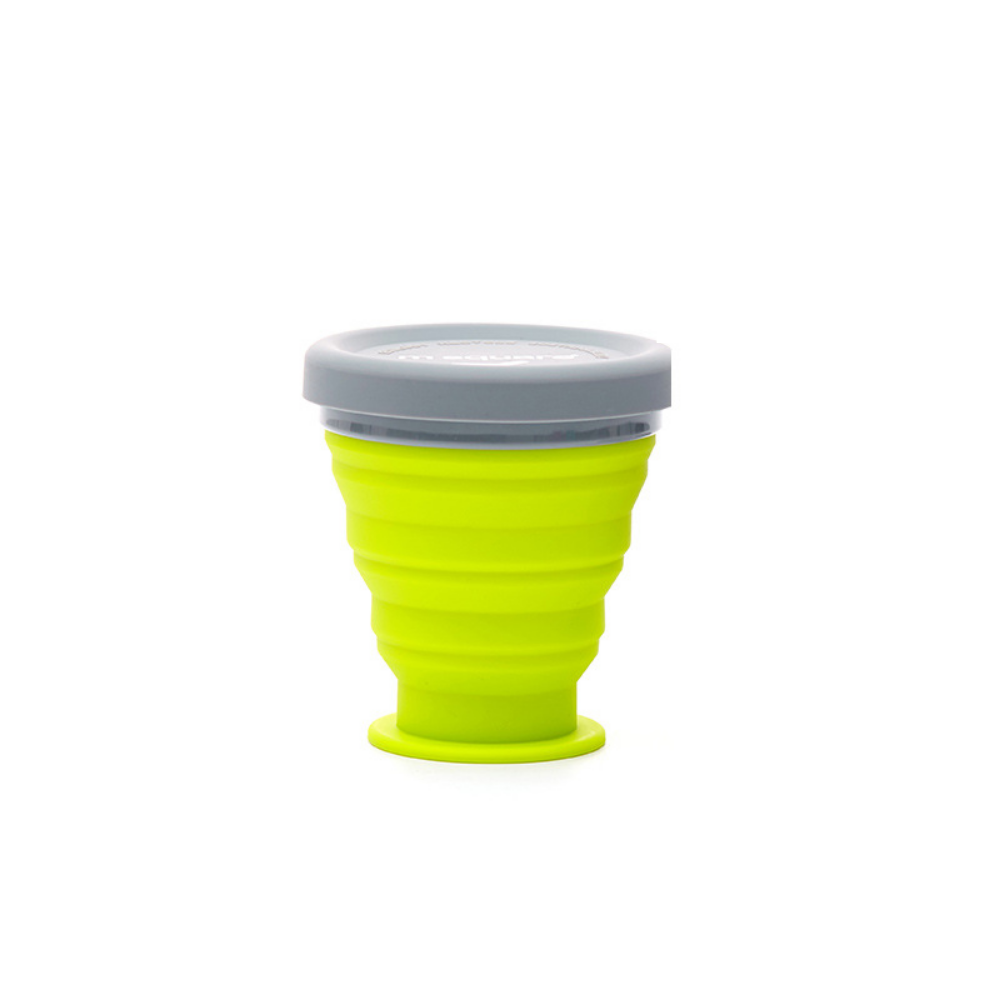 Foldable Bowls - Grafton Collection
