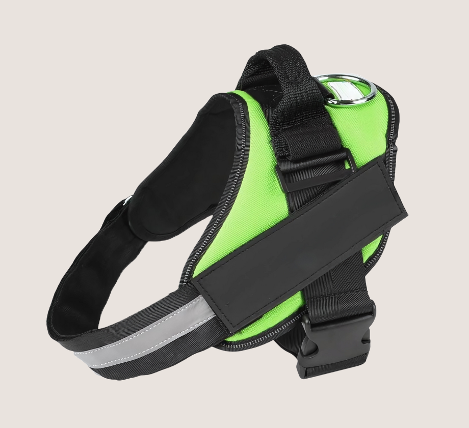 Personalised No Pull Dog Harness