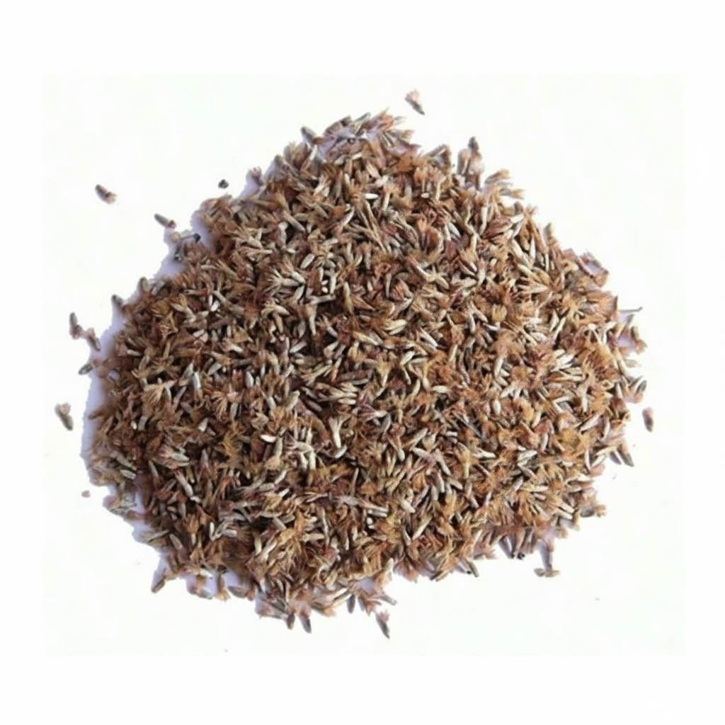 Hollyhock Flower Garden Seeds For Tall Ornamental Plants