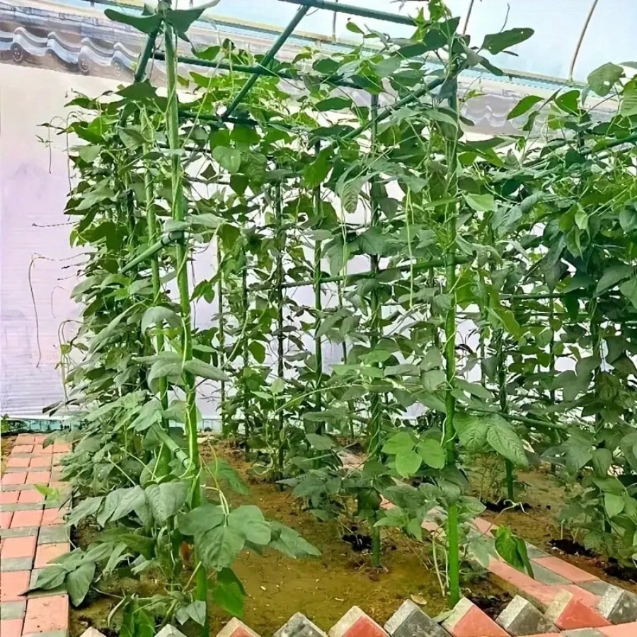 Multifunctional Gardening Plastic Support Stakes