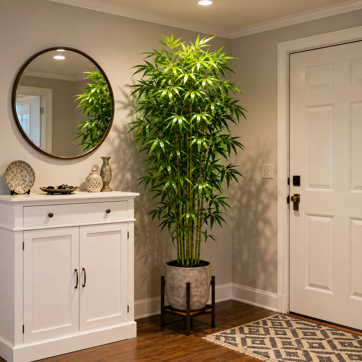 Indoor Cypress Plant Seeds For Graden
