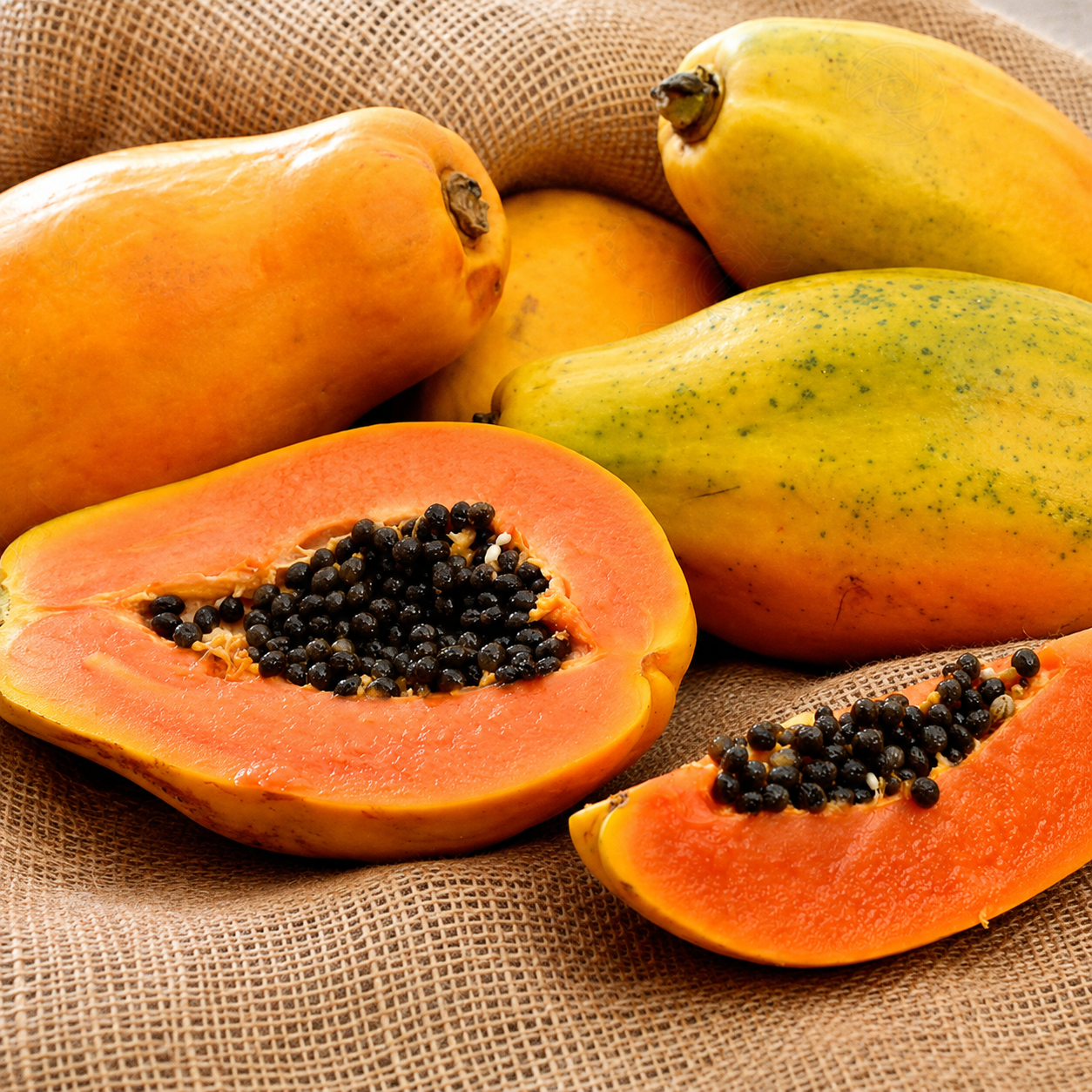 50 Authentic Cream Papaya Seeds