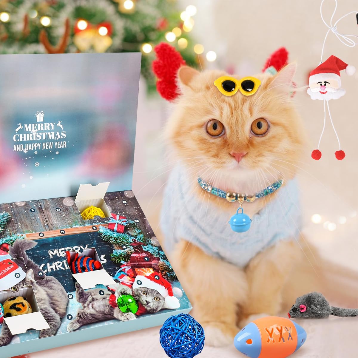 Christmas Kitten Advent Calendar