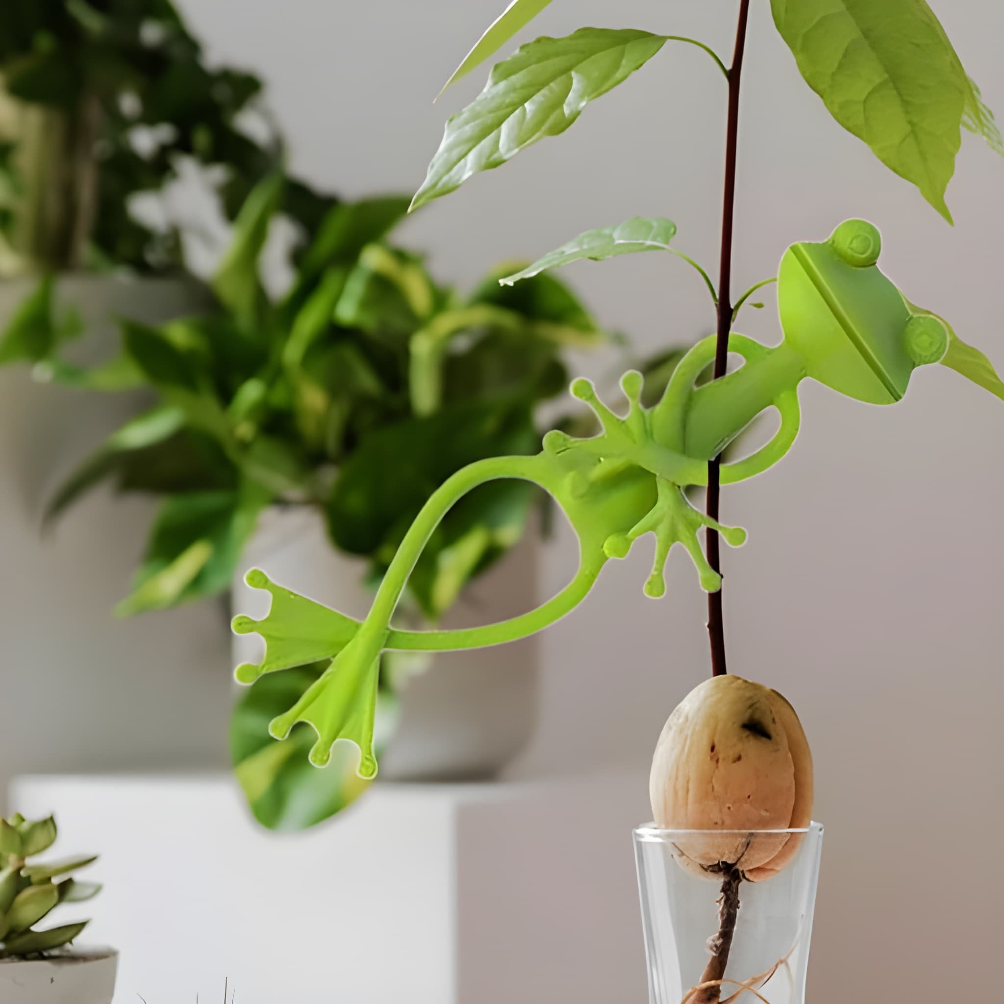 Creative Frog Plant Support Vine Climbing Assist Clip 