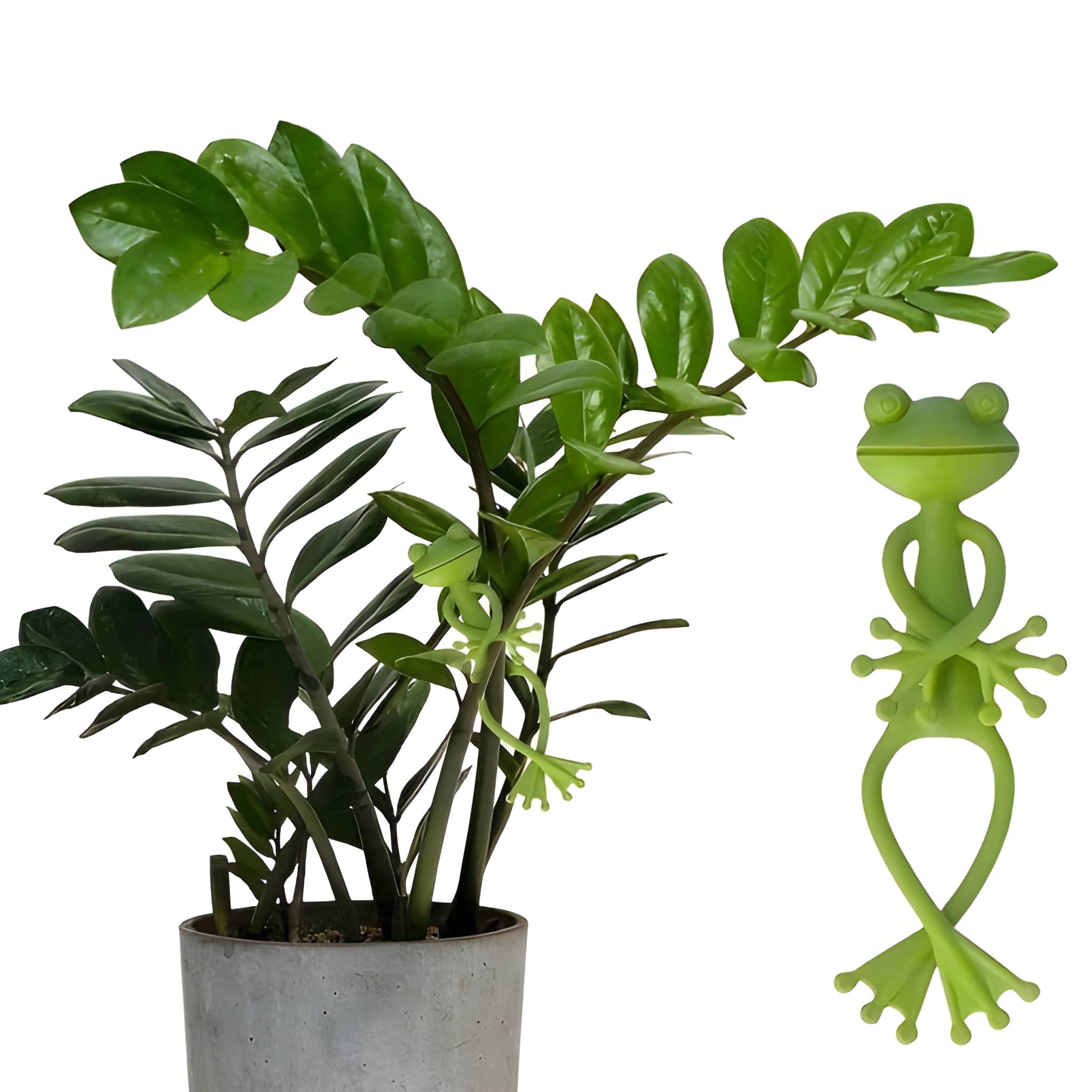 Creative Frog Plant Support Vine Climbing Assist Clip 