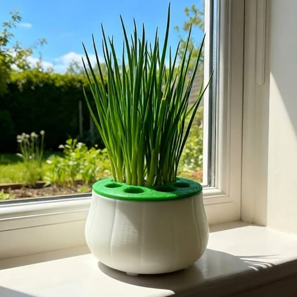 Indoor Kitchen Soil Hydroponics Green Onion Regrowth Planter Tool