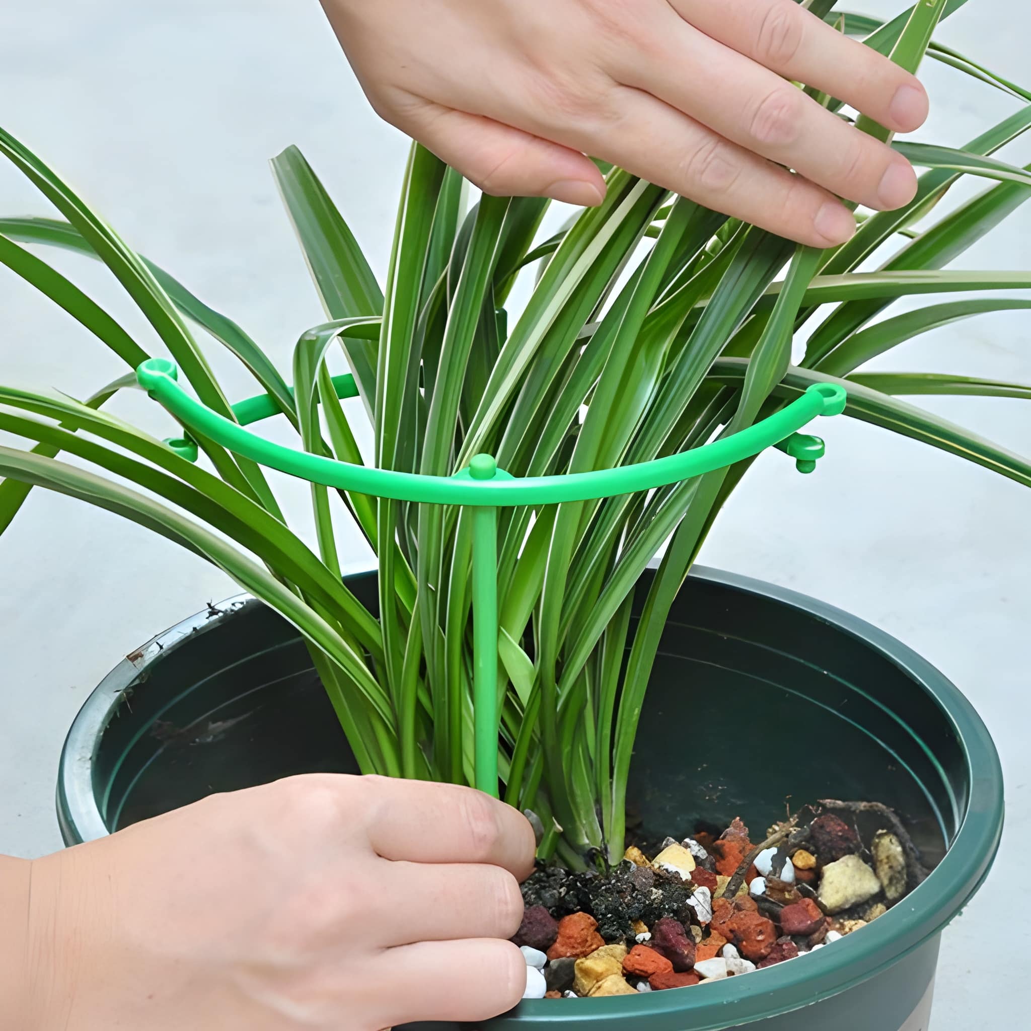 Gardening Vine Trellis Plant Support Stake