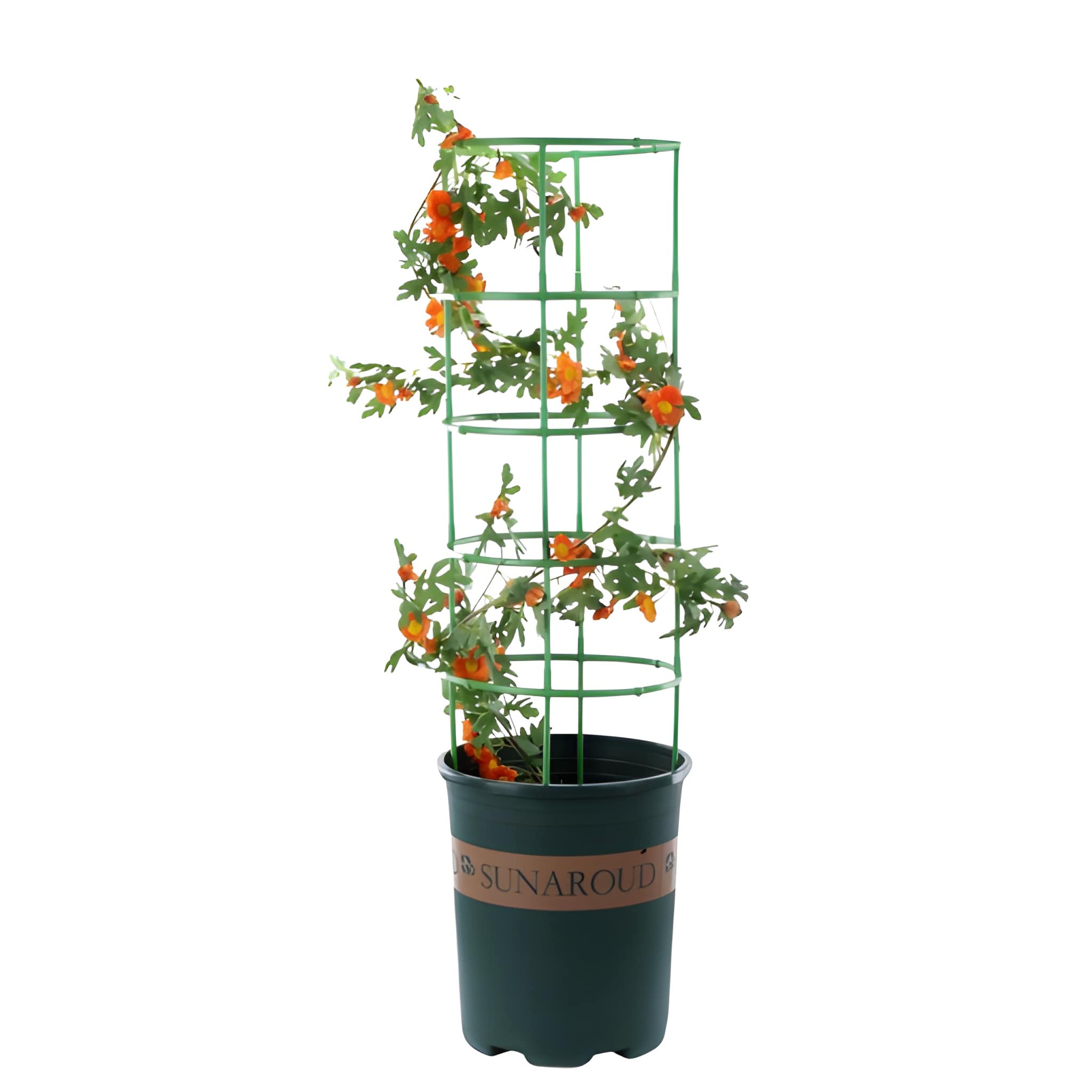Gardening Vine Trellis Plant Support Stake