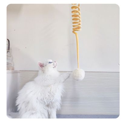 Hanging Spring Plush Ball Cat - Grafton Collection