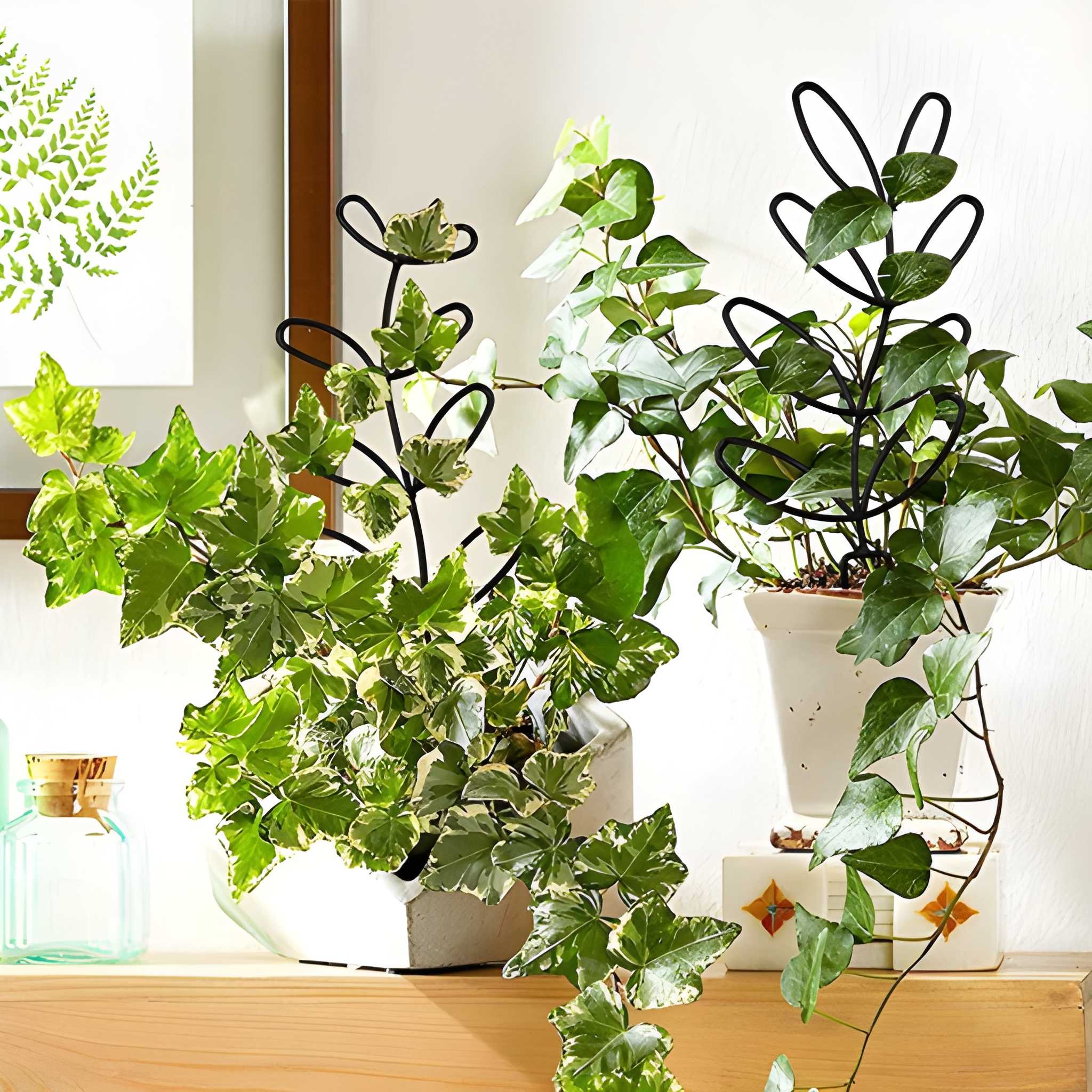 Hexagonal Honeycomb Pillar Support Rack For Potted Vines