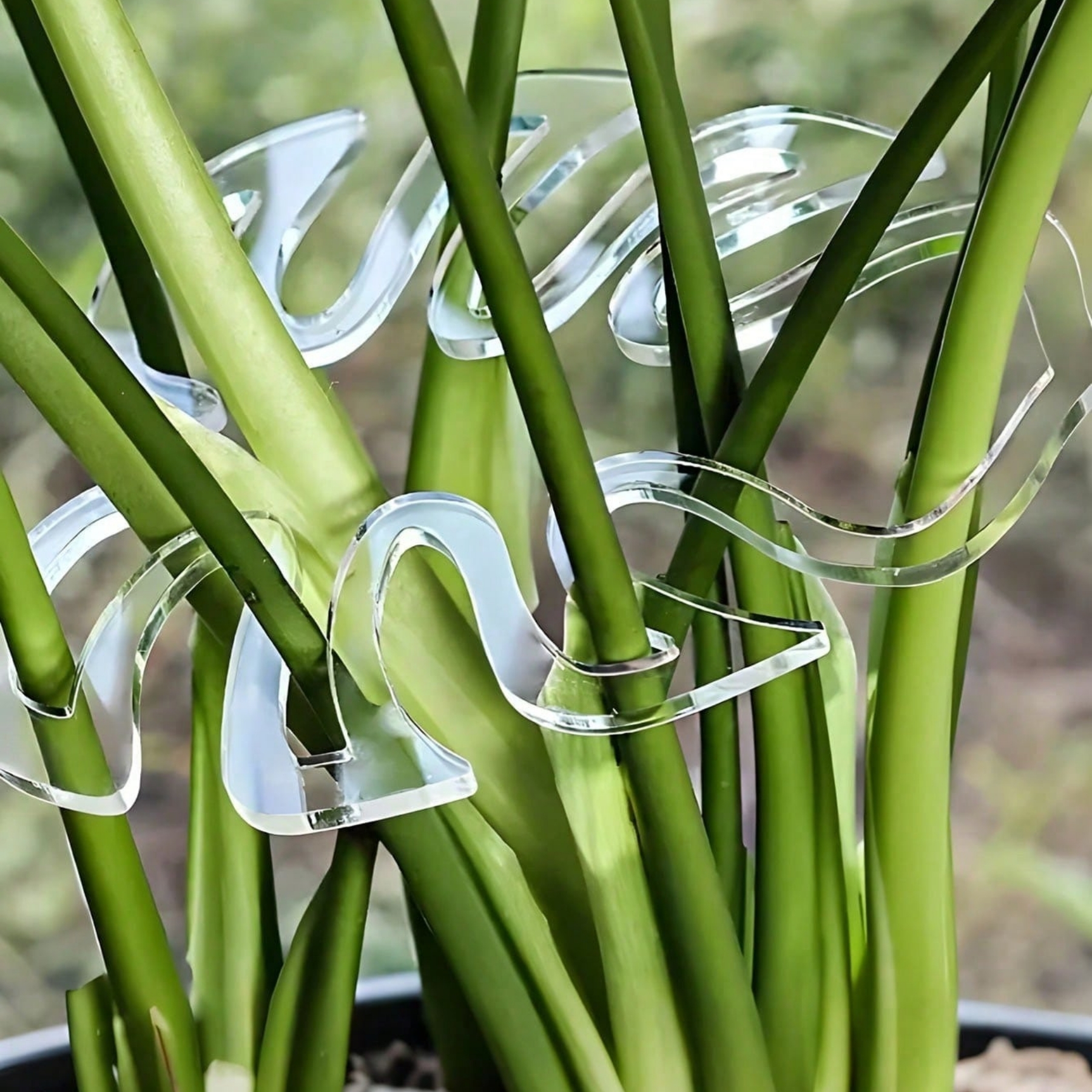 Leaf Shaped Plant Stem Support Stand For Climbing Plants