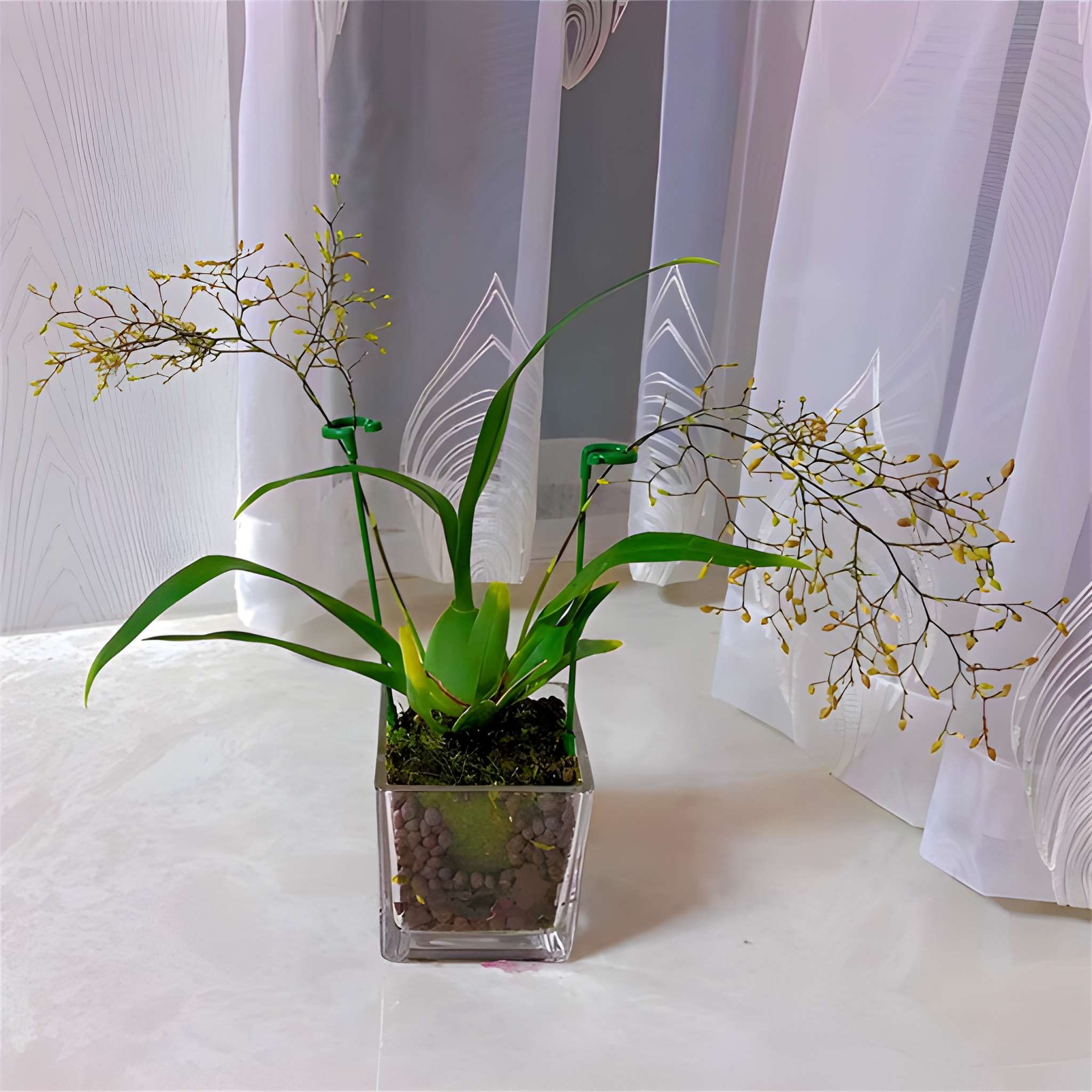 Plant Garden Trellis Climbing Frame