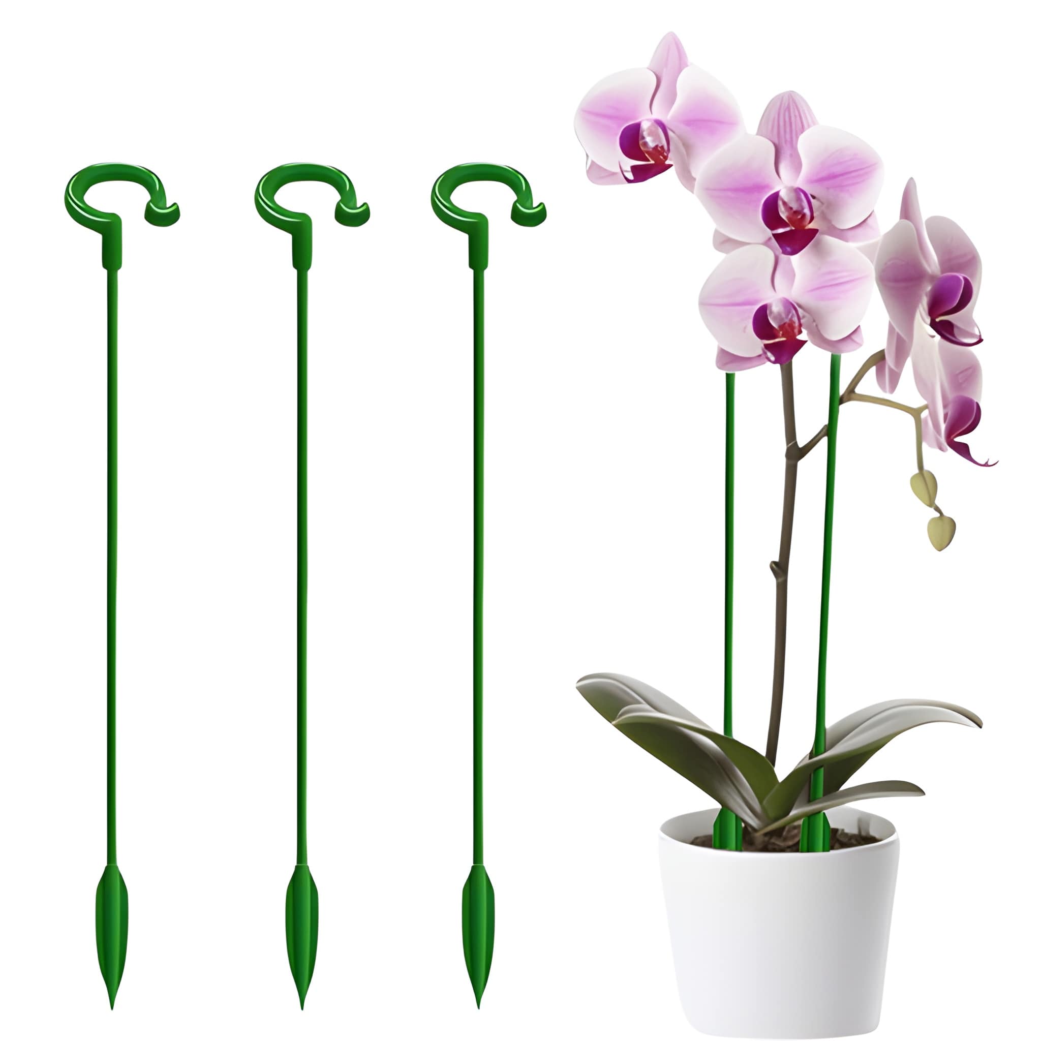 Plant Garden Trellis Climbing Frame