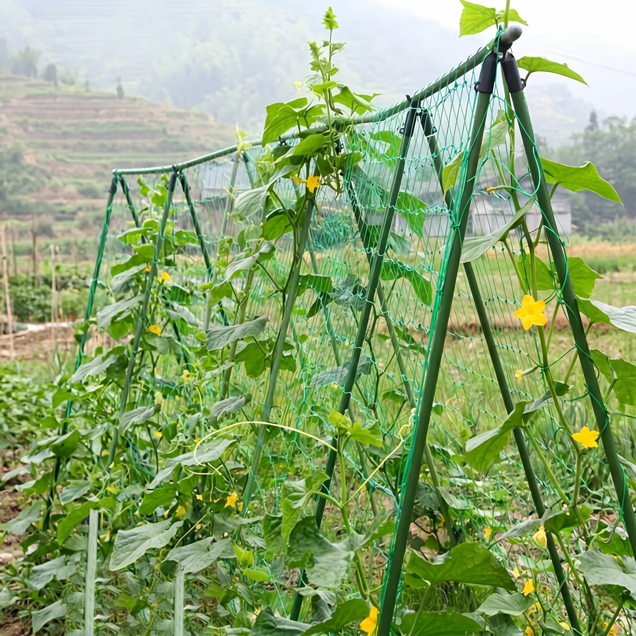 Weatherresistant Outdoor Plant Support Trellis With Sturdy Posts And Openweave Pvc 