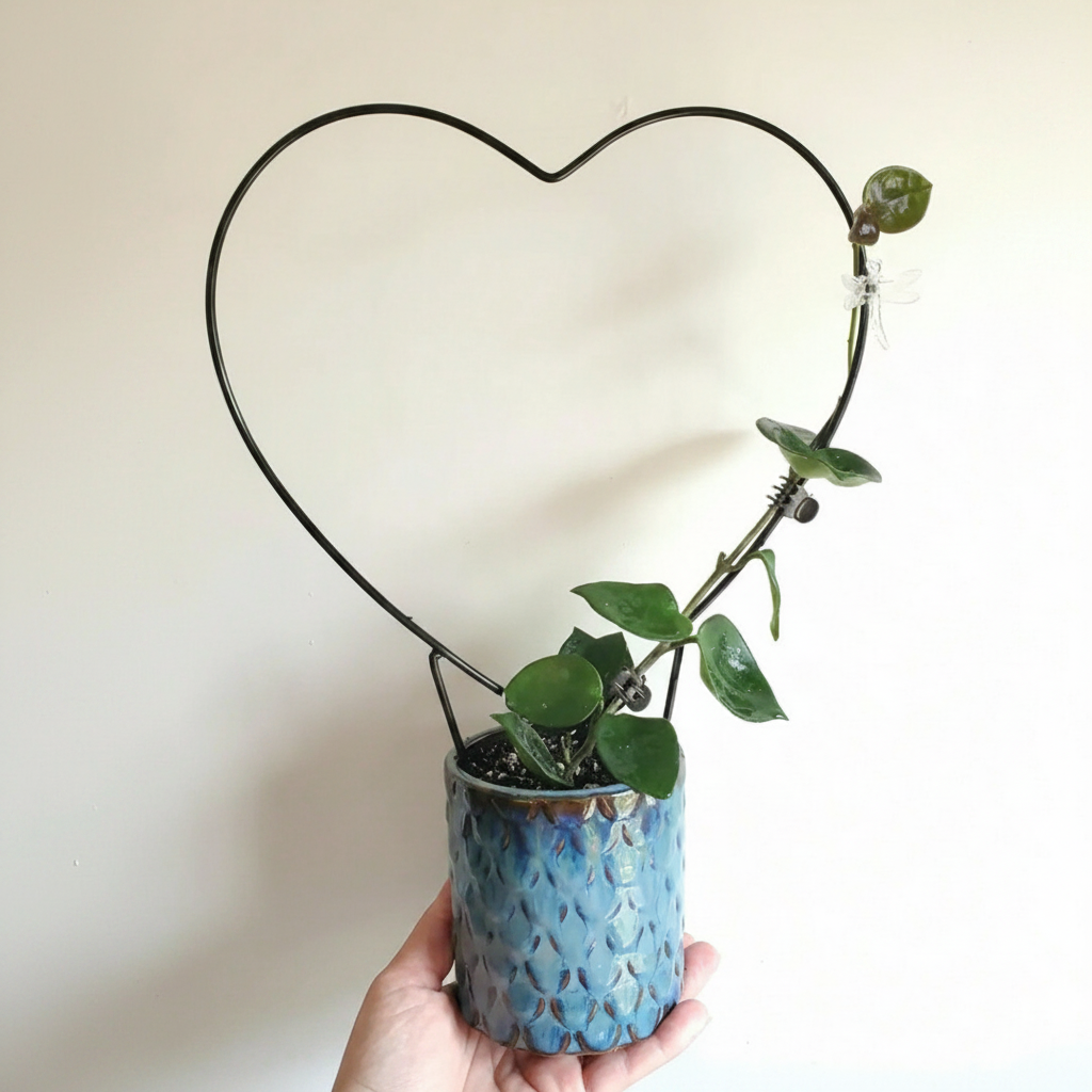 DIY Plant Holder Net for Climbing Plants Garden