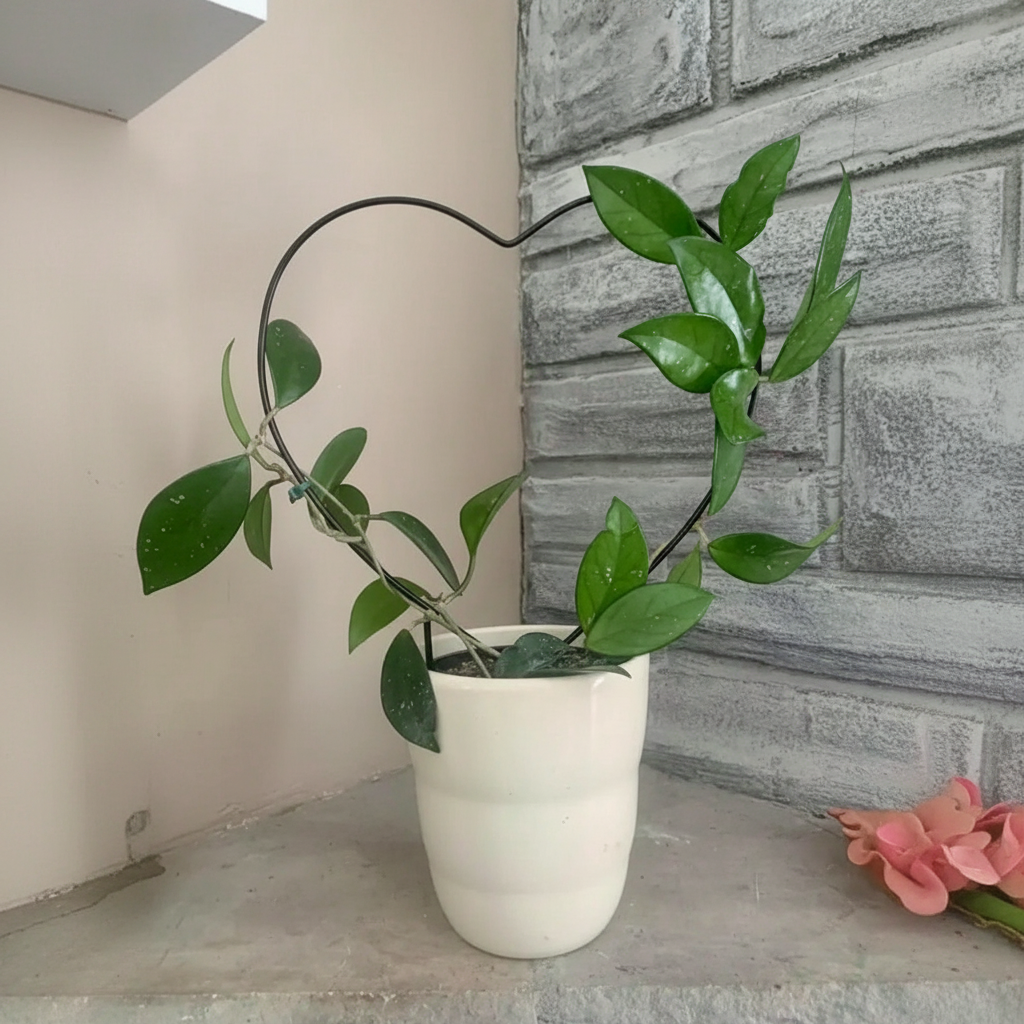 DIY Plant Holder Net for Climbing Plants Garden