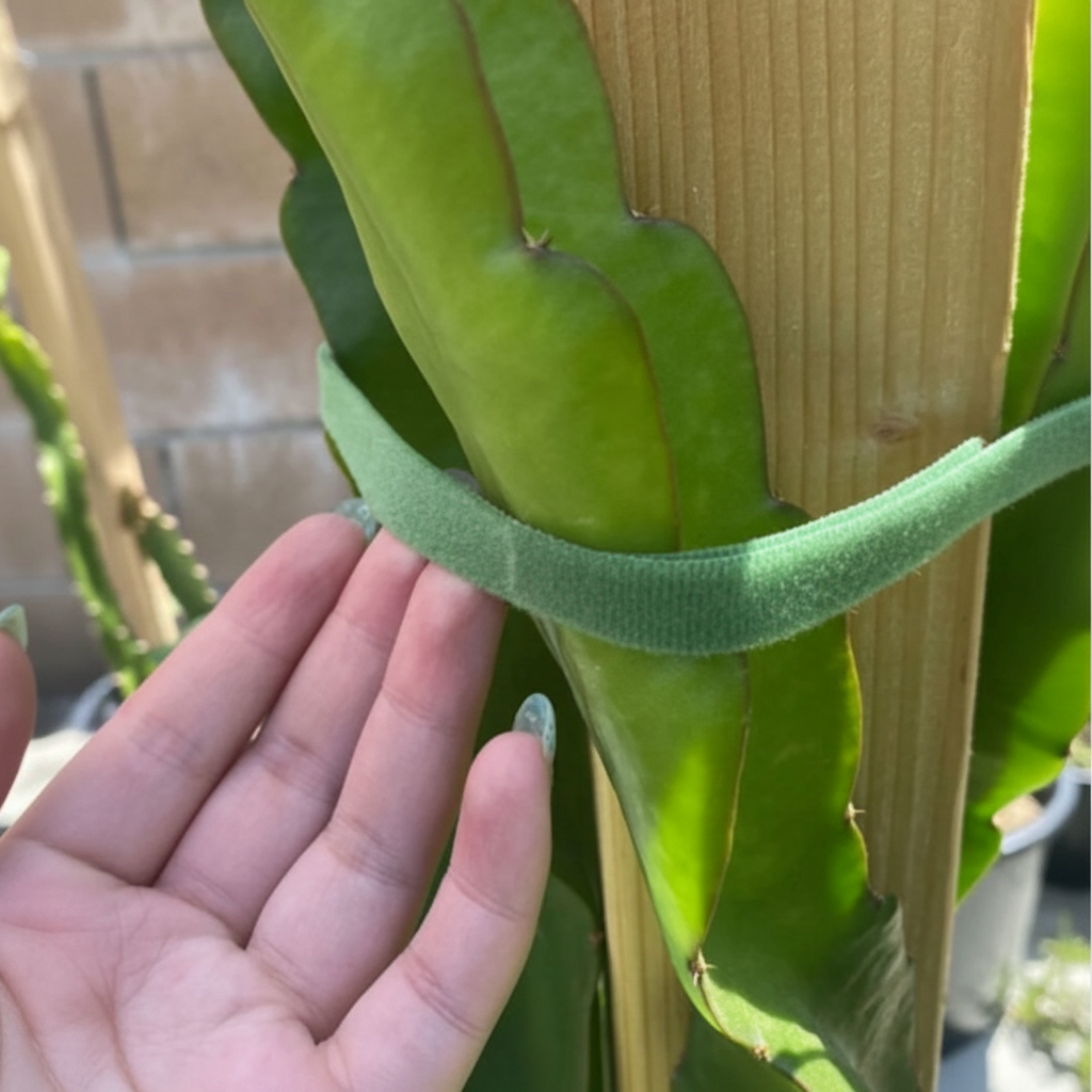 Reusable Garden Tie Tape Roll