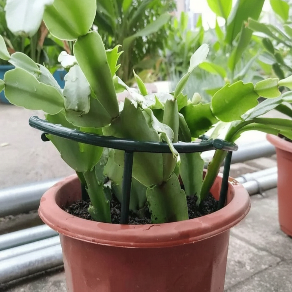 Plastic Half Circle Plant Trellis For Potted Plants Climbing Vine