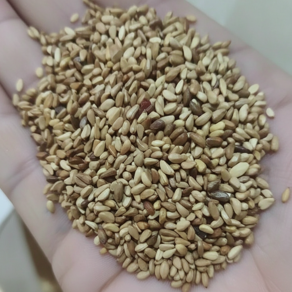 100+ Purple Flower Heirloom Hosta Seeds