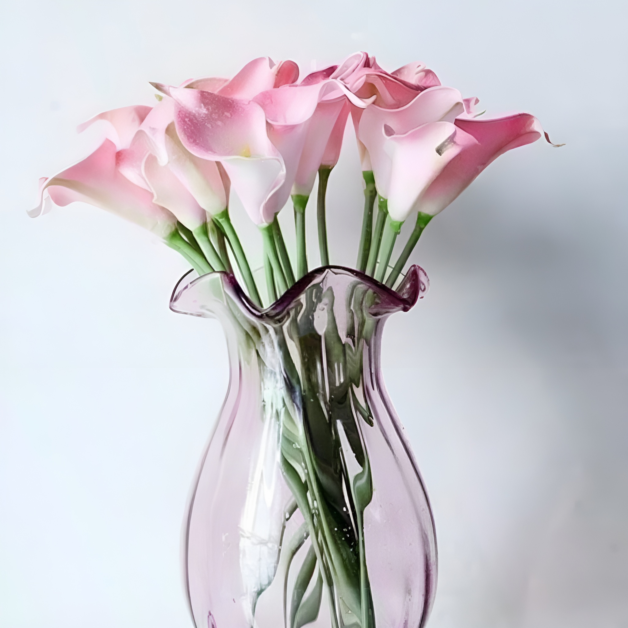 Calla Lily Flower Plant Seeds With 100 Pieces