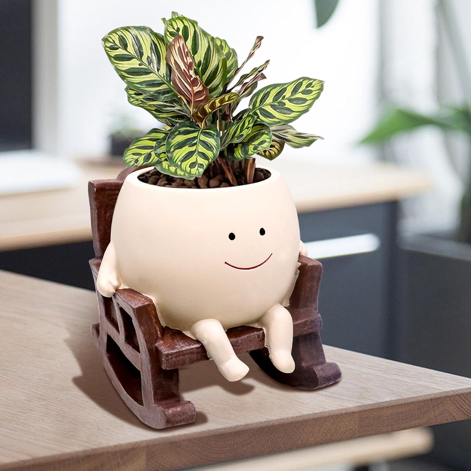 Indoor Outdoor Plants, Unique Sit Rocking Chair Succulent Flower Pots