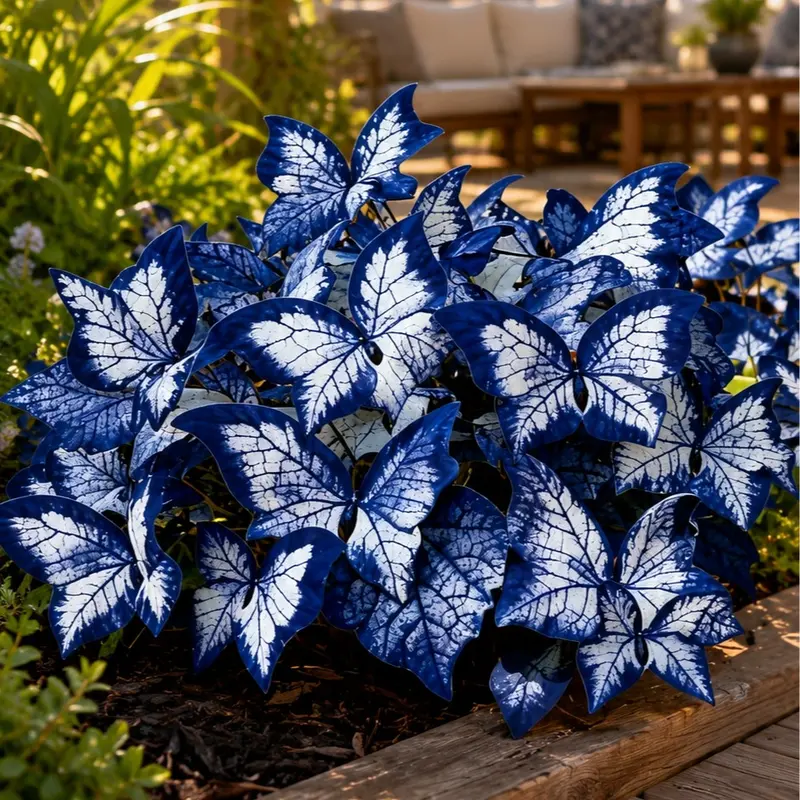 800 Pieces Butterfly Hosta Leaf Garden Seeds