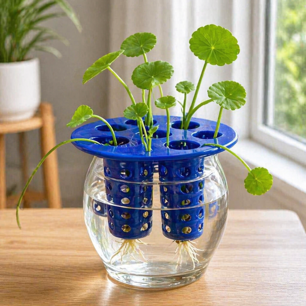 Hydroponic Plant Cultivation 3d Printed Mold For Home Gardening Diy