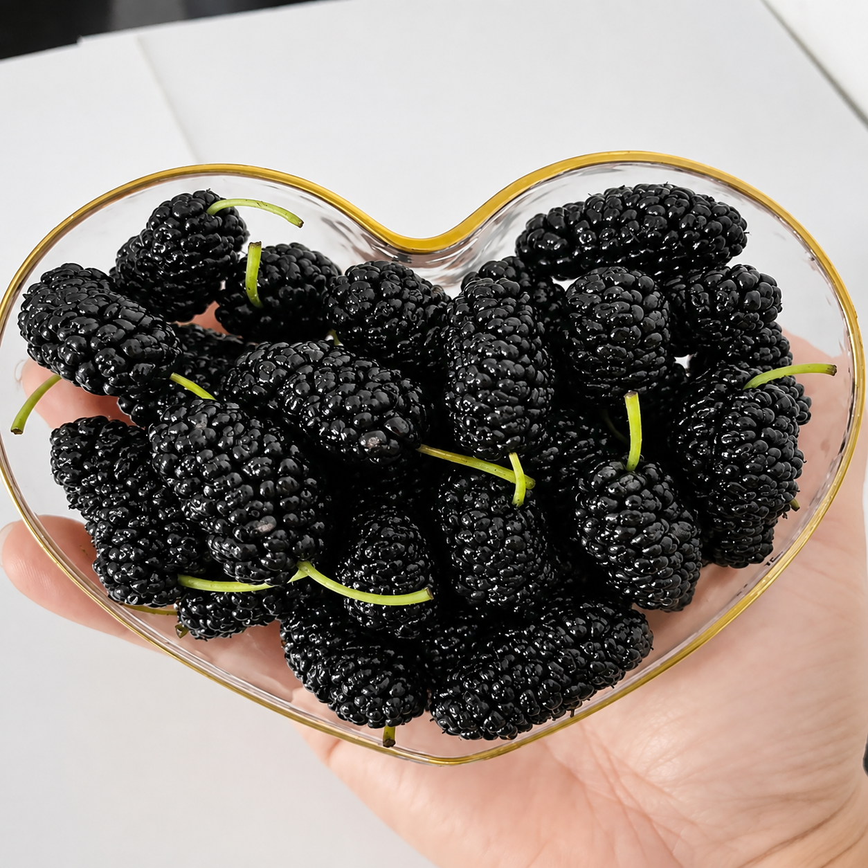 100 Pieces Mulberry Tree Seeds For Outdoor Garden Cultivation