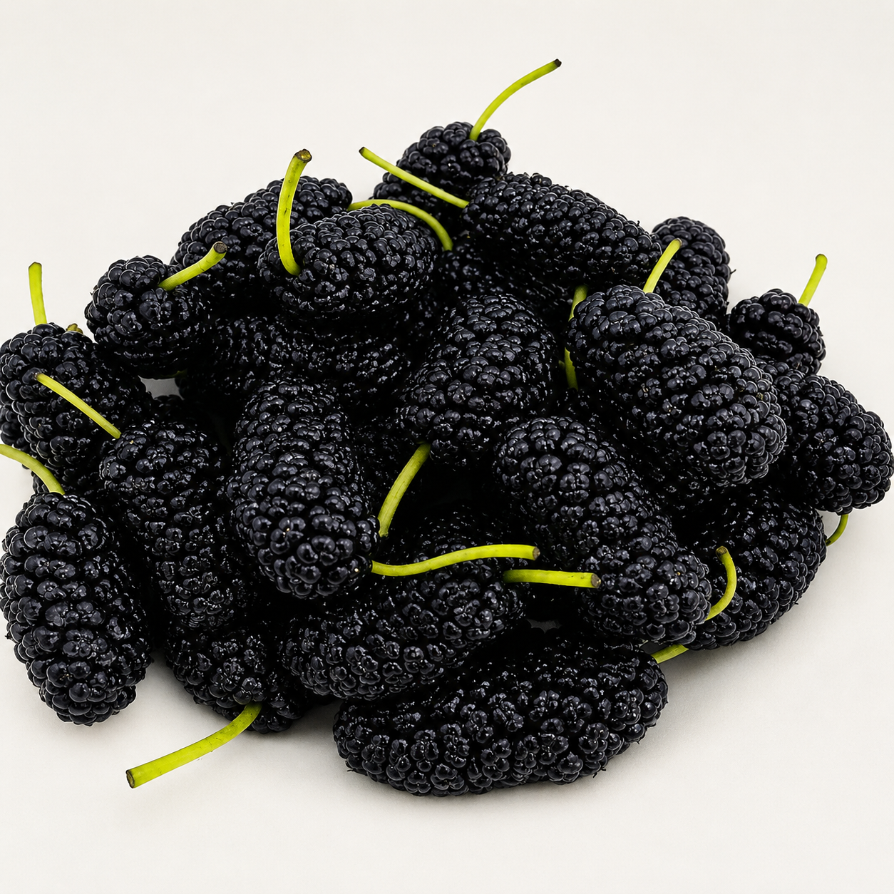 100 Pieces Mulberry Tree Seeds For Outdoor Garden Cultivation